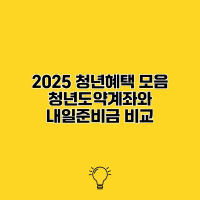 2025 청년혜택 모음 청년도약계좌와 내일준비금 비교
