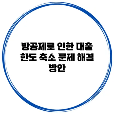 방공제로 인한 대출 한도 축소 문제 해결 방안
