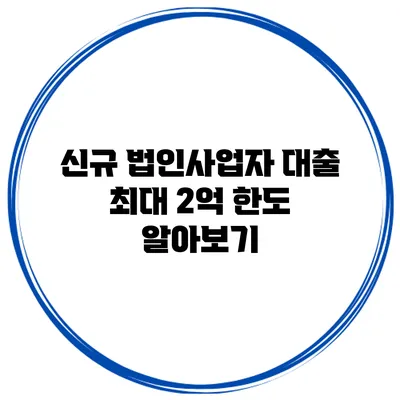 신규 법인사업자 대출 최대 2억 한도 알아보기