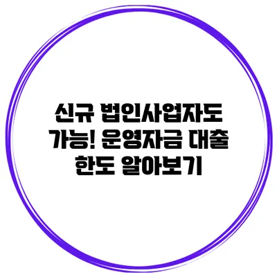 신규 법인사업자도 가능! 운영자금 대출 한도 알아보기