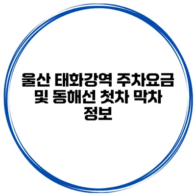 울산 태화강역 주차요금 및 동해선 첫차 막차 정보