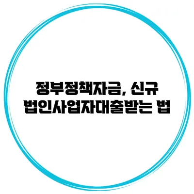 정부정책자금, 신규 법인사업자대출받는 법