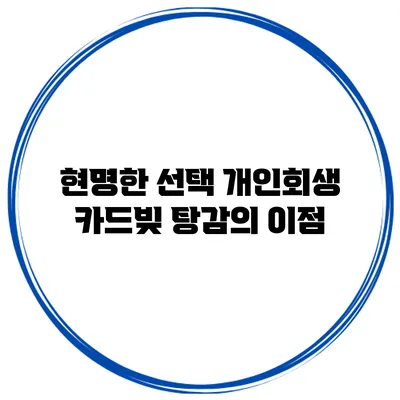 현명한 선택 개인회생 카드빚 탕감의 이점