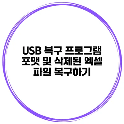USB 복구 프로그램 포맷 및 삭제된 엑셀 파일 복구하기