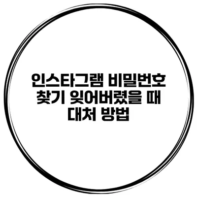 인스타그램 비밀번호 찾기 잊어버렸을 때 대처 방법