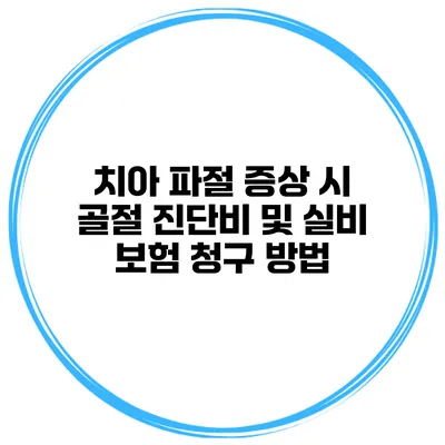 치아 파절 증상 시 골절 진단비 및 실비 보험 청구 방법