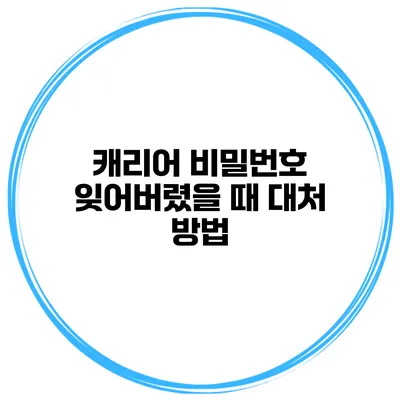 캐리어 비밀번호 잊어버렸을 때 대처 방법