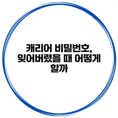 캐리어 비밀번호, 잊어버렸을 때 어떻게 할까?